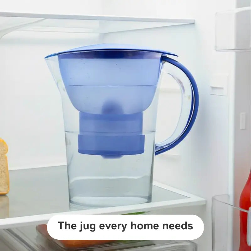 Purifying Jug